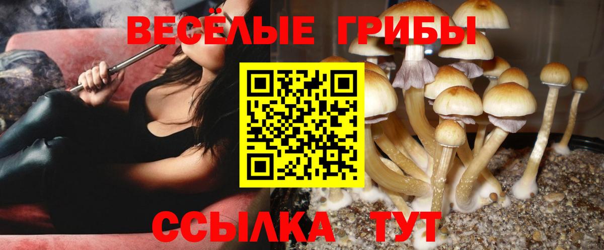 Псилоцибиновые грибы мицелий  Вход с VPN  Можга 